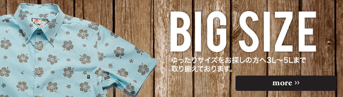 BIG SIZE