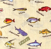 PAIKAJIのデザインで遊ぶ沖縄の海洋生物