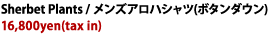 アロハシャツ PAIKAJI アロハシャツご紹介