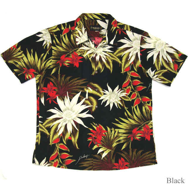STYLE No.P112023