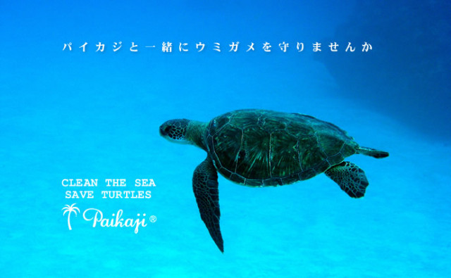 SAVE TURTES 沖縄発アロハシャツブランド ALOHA SHOP PAIKAJI 公式